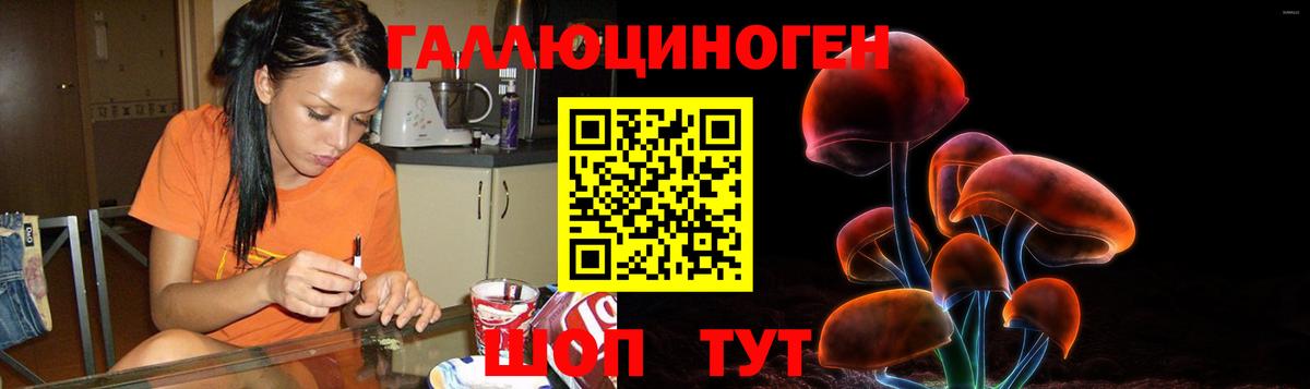 Новоалександровск  Галлюциногенные грибы GOLDEN TEACHER  как найти закладки  Вход с VPN 